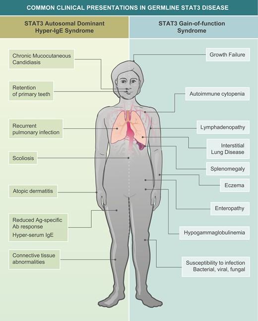 Graphical abstract J Mackie et al