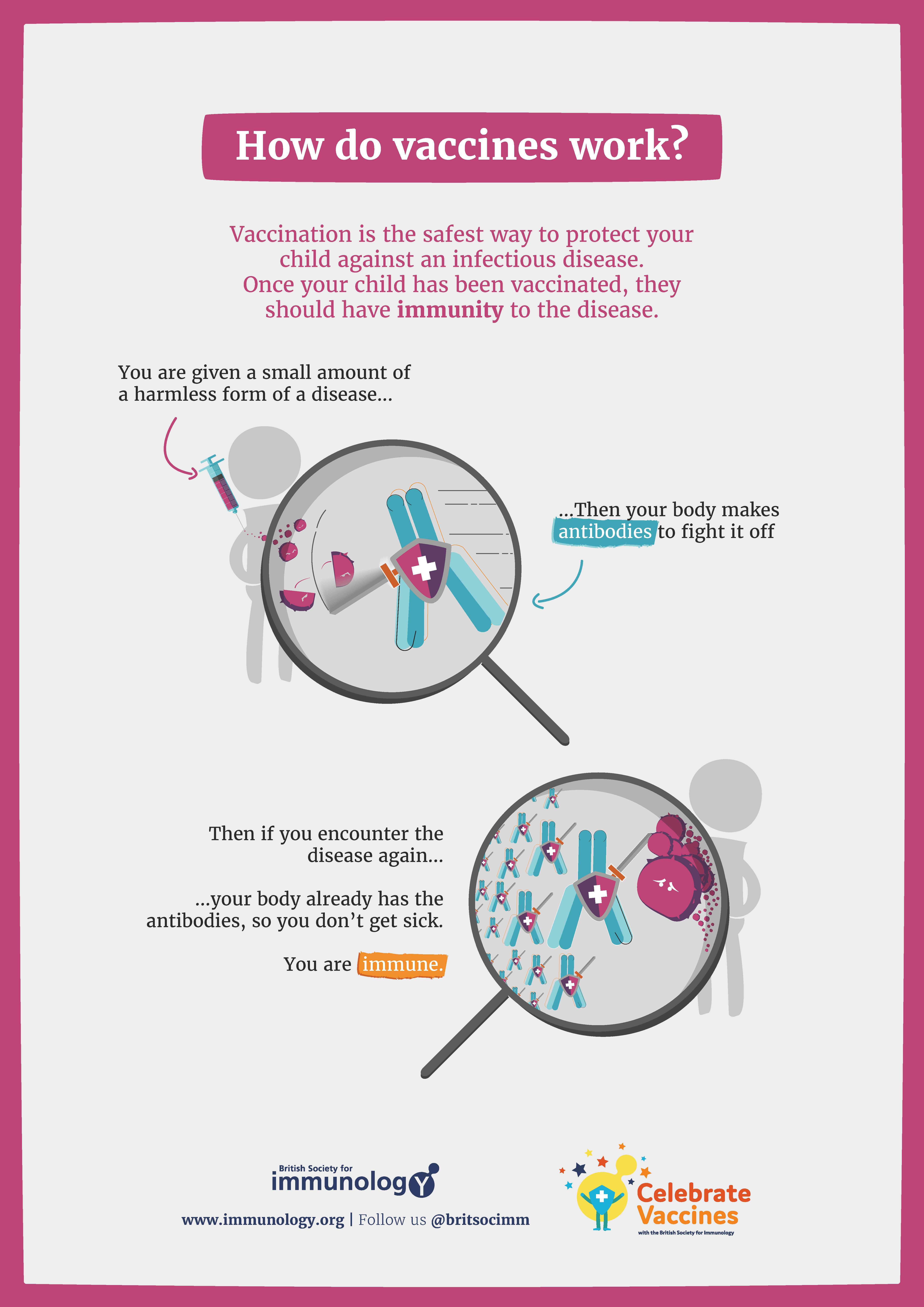 Infographic explaining how vaccines work