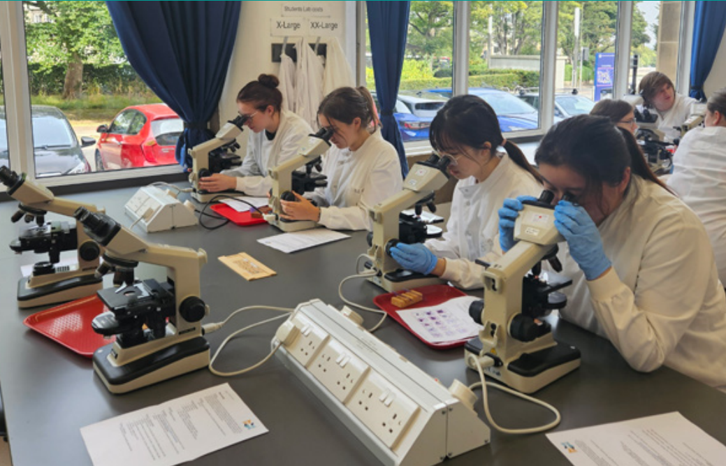 Summer School students looking down microscopes 