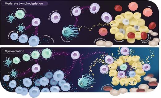 Graphical abstract Silla