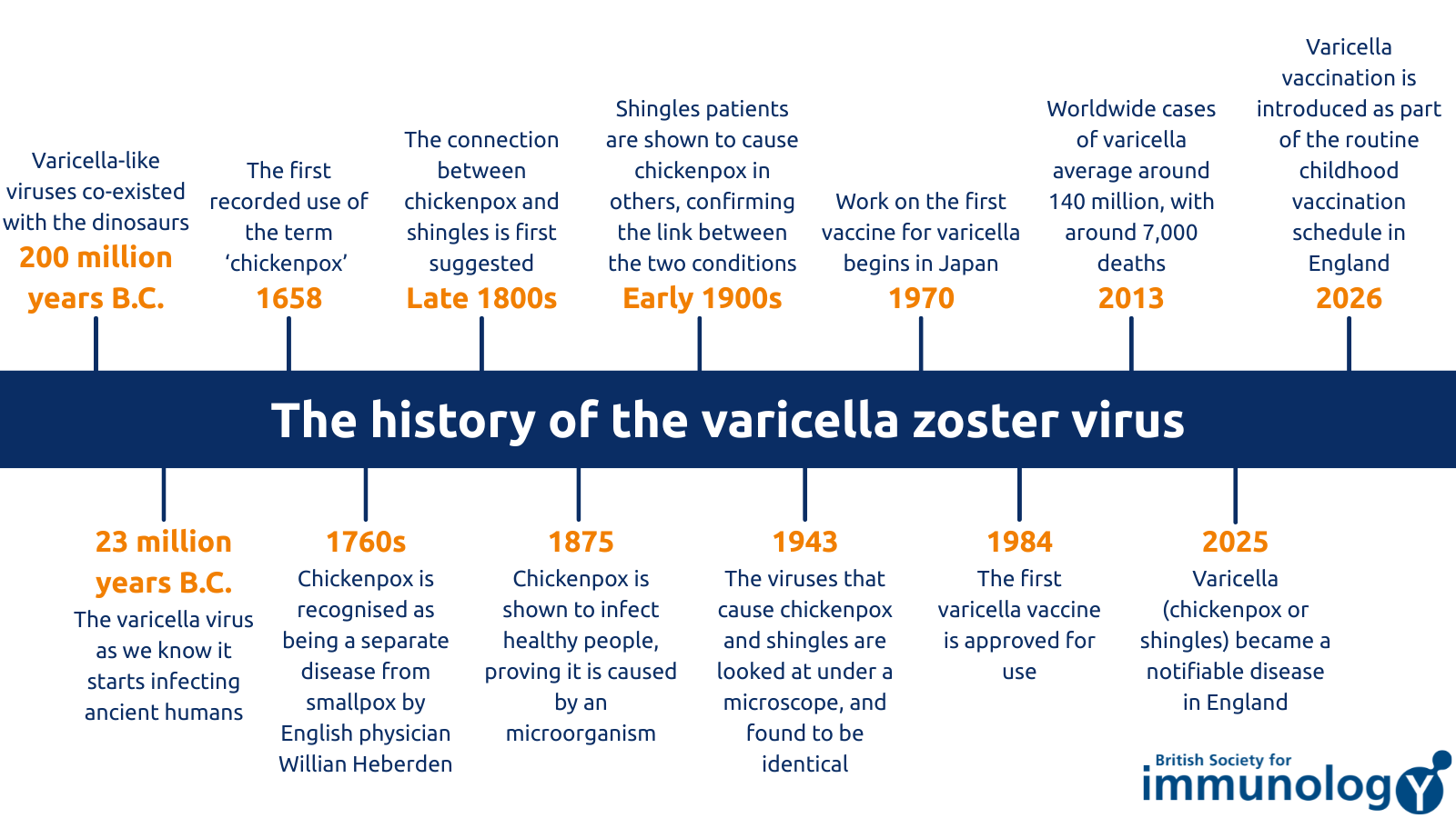 History of the varicella zoster virus