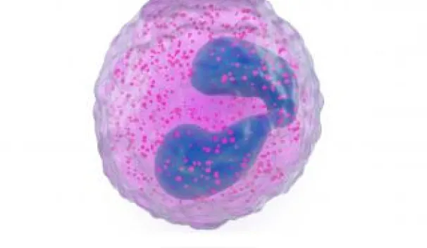 Eosinophils