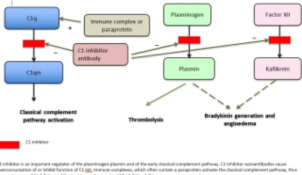 Angioedema diagram