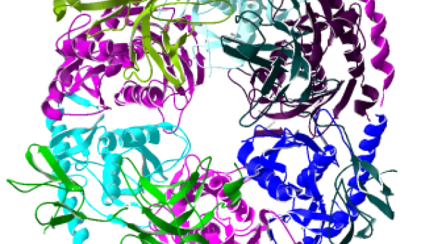 Exosomes in cancer immunology