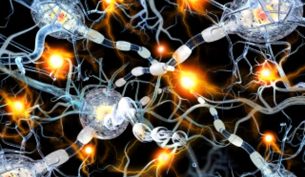 CD46 – role in multiple sclerosis