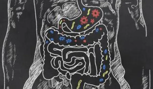 Gut Microbiota and Obesity