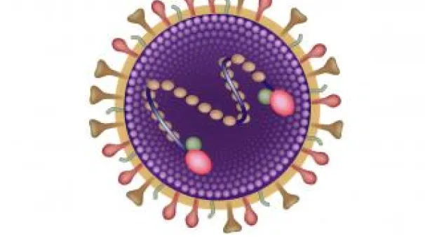 Respiratory Syncytial Virus