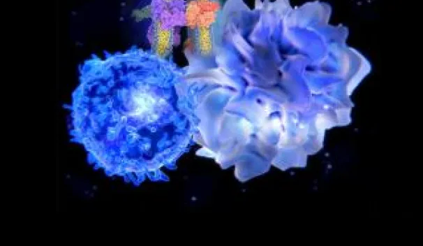 Transplant rejection