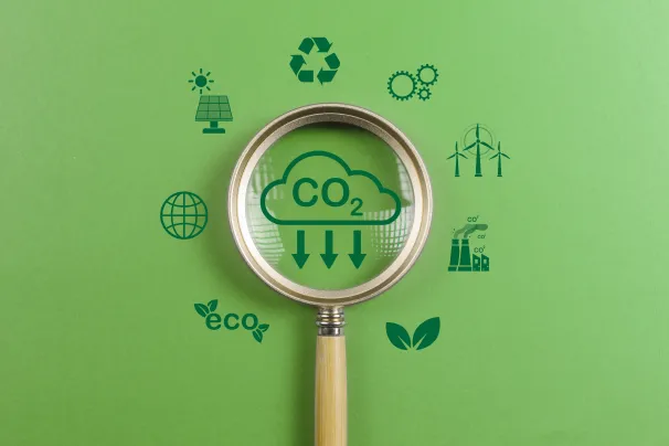 Sustainable activities graphic