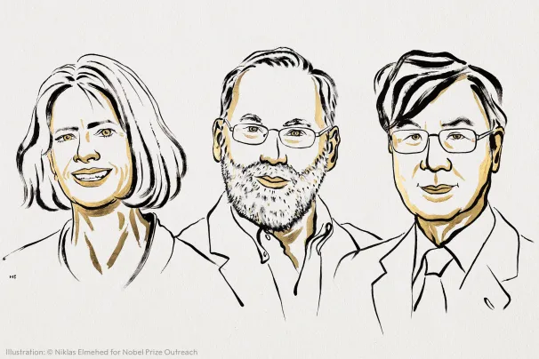 Mary E. Brunkow, Fred Ramsdell, Shimon Sakaguchi 